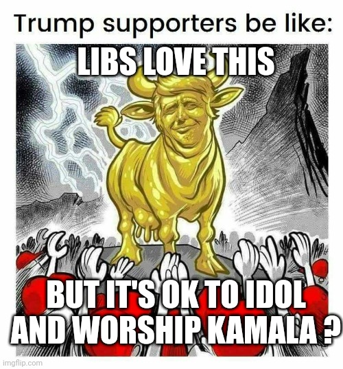 LIBS LOVE THIS BUT IT'S OK TO IDOL AND WORSHIP KAMALA ? | made w/ Imgflip meme maker