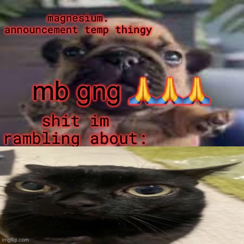 pug temp | mb gng 🙏🙏🙏 | image tagged in pug temp | made w/ Imgflip meme maker