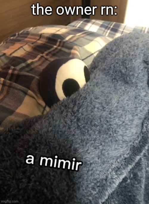 a mimir | the owner rn: | image tagged in a mimir | made w/ Imgflip meme maker