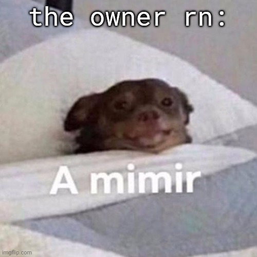 Mimir | the owner rn: | image tagged in mimir | made w/ Imgflip meme maker