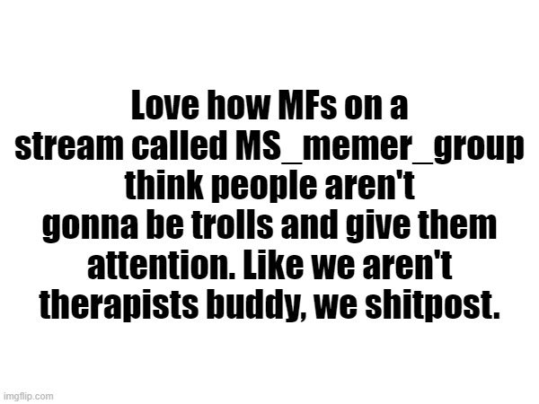 Love how MFs on a stream called MS_memer_group think people aren't gonna be trolls and give them attention. Like we aren't therapists buddy, we shitpost. | made w/ Imgflip meme maker