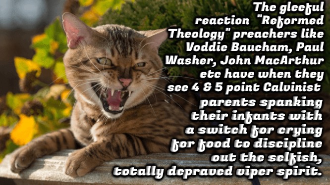 Vicious Ghouls | The gleeful reaction  "Reformed Theology" preachers like Voddie Baucham, Paul Washer, John MacArthur etc have when they see 4 & 5 point Calvinist; parents spanking their infants with a switch for crying for food to discipline out the selfish, totally depraved viper spirit. | image tagged in calvinism,reformed theology,arminian,molinist,you have sinned child prepare to feel the sweet embrace of death,child abuse | made w/ Imgflip meme maker