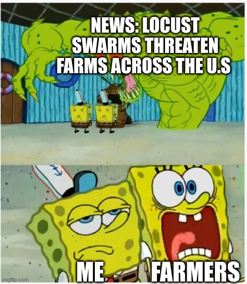 SpongeBob SquarePants scared but also not scared | NEWS: LOCUST SWARMS THREATEN FARMS ACROSS THE U.S; FARMERS; ME | image tagged in spongebob squarepants scared but also not scared | made w/ Imgflip meme maker