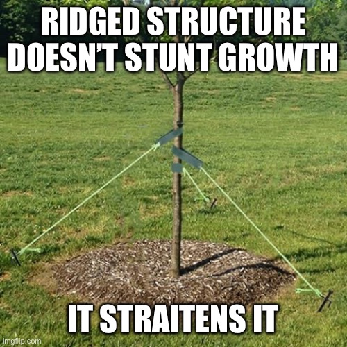 Structured Growth | RIDGED STRUCTURE DOESN’T STUNT GROWTH; IT STRAITENS IT | image tagged in memes | made w/ Imgflip meme maker