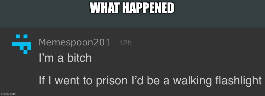 Memespoon the flashlight | WHAT HAPPENED | image tagged in memespoon the flashlight | made w/ Imgflip meme maker