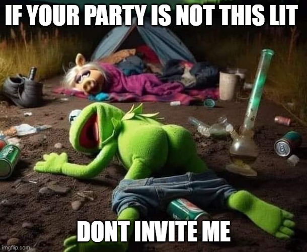 if your party is not this lit dont invite me | IF YOUR PARTY IS NOT THIS LIT; DONT INVITE ME | image tagged in kermit,funny,party,invite,miss piggy | made w/ Imgflip meme maker