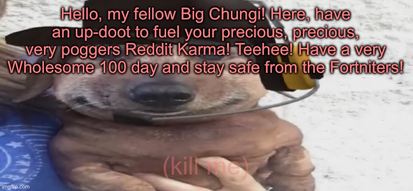 chucklenuts | Hello, my fellow Big Chungi! Here, have an up-doot to fuel your precious, precious, very poggers Reddit Karma! Teehee! Have a very Wholesome 100 day and stay safe from the Fortniters! (kill me) | image tagged in chucklenuts | made w/ Imgflip meme maker