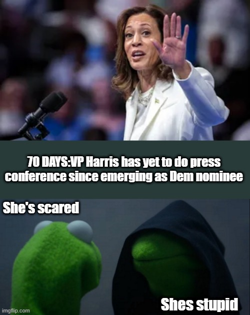 And the numbskulls will still vote for her. | 70 DAYS:VP Harris has yet to do press conference since emerging as Dem nominee; She's scared; Shes stupid | image tagged in memes,evil kermit | made w/ Imgflip meme maker