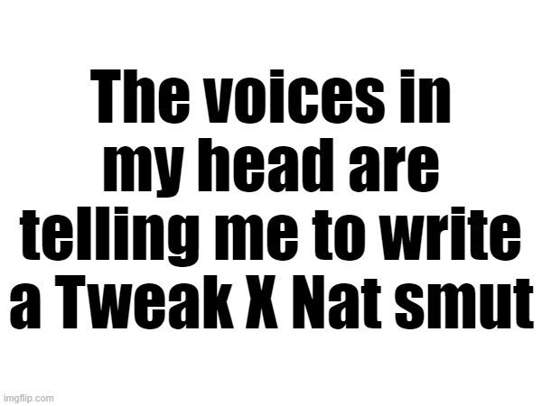 The voices in my head are telling me to write a Tweak X Nat smut | made w/ Imgflip meme maker