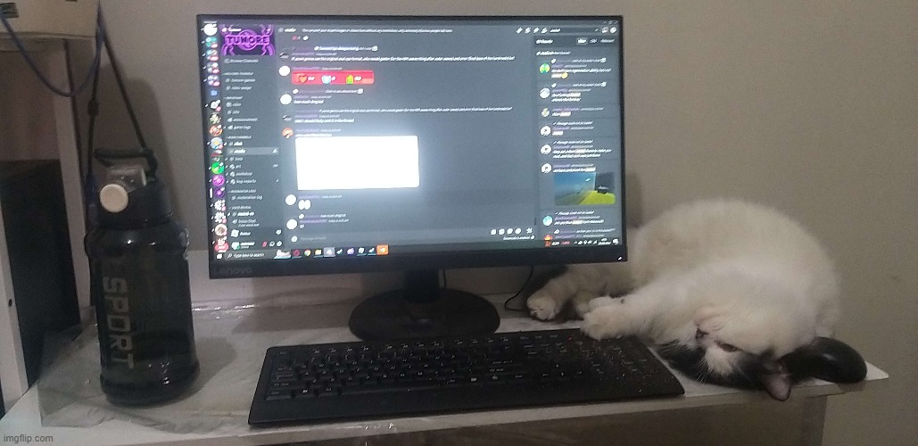 rate the setup chat | made w/ Imgflip meme maker