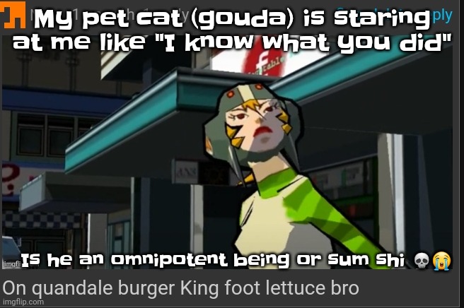 Uh | My pet cat (gouda) is staring at me like "I know what you did"; Is he an omnipotent being or sum shi 💀😭 | image tagged in on quandale burger king foot lettuce bro | made w/ Imgflip meme maker