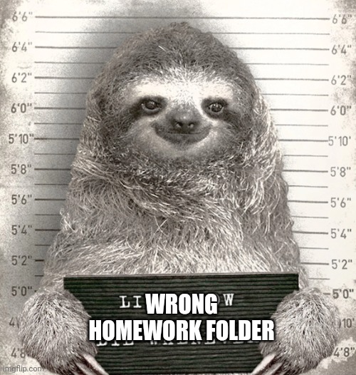 Sloth mugshot | WRONG HOMEWORK FOLDER | image tagged in sloth mugshot | made w/ Imgflip meme maker