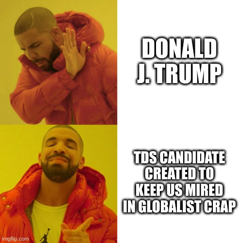 Pick The American, Not The Globo | DONALD J. TRUMP; TDS CANDIDATE CREATED TO KEEP US MIRED IN GLOBALIST CRAP | image tagged in drake blank,political meme,politics,funny memes,funny | made w/ Imgflip meme maker