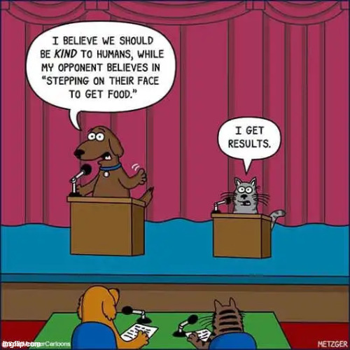 If pets debated like politicians | image tagged in reposts,pets,debate | made w/ Imgflip meme maker