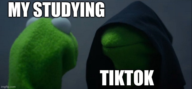 Evil Kermit Meme | MY STUDYING; TIKTOK | image tagged in memes,evil kermit | made w/ Imgflip meme maker