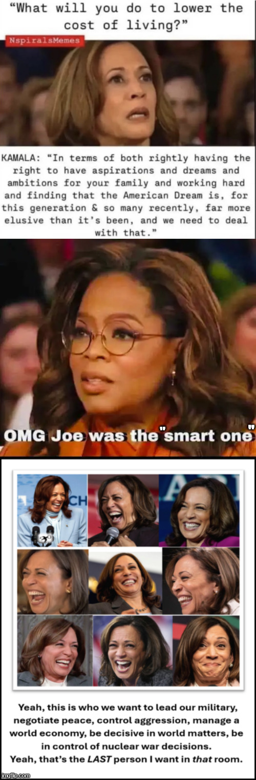 The "smart" dems just realizing what their party did to them... | "; " | image tagged in dnc,chose,a worse puppet for 2024 | made w/ Imgflip meme maker