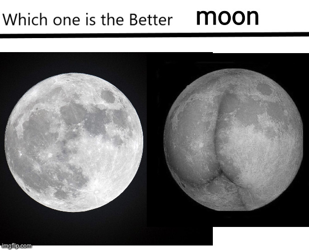 Which one is the Better X? | moon | image tagged in which one is the better x | made w/ Imgflip meme maker