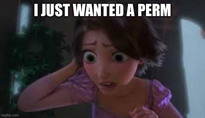 Tangled short hair | I JUST WANTED A PERM | image tagged in tangled short hair | made w/ Imgflip meme maker