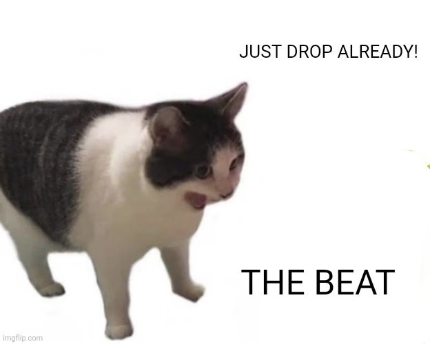 cat screaming | JUST DROP ALREADY! THE BEAT | image tagged in cat screaming | made w/ Imgflip meme maker