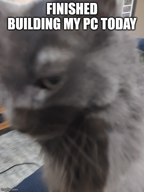 32's Cat | FINISHED BUILDING MY PC TODAY | image tagged in 32's cat | made w/ Imgflip meme maker