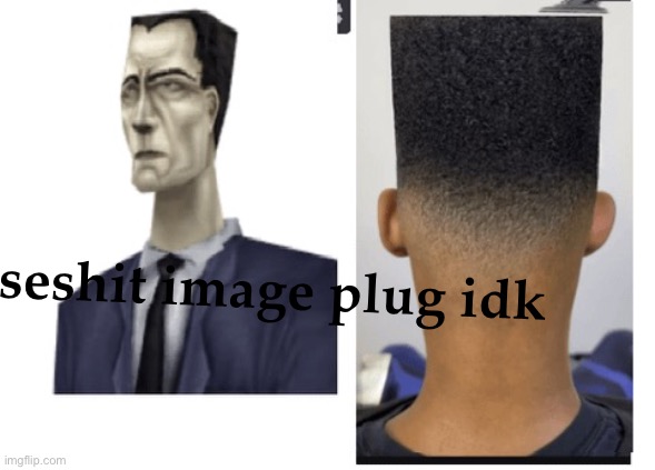 just send random images on it idk | horseshit image plug idk | made w/ Imgflip meme maker