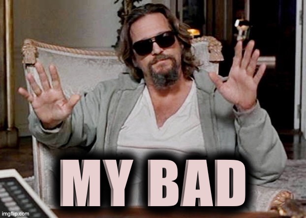 I didnt know ms_mg was chill like that | image tagged in the dude from big lebowski my bad | made w/ Imgflip meme maker