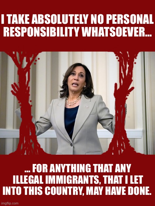 I TAKE ABSOLUTELY NO PERSONAL RESPONSIBILITY WHATSOEVER…; … FOR ANYTHING THAT ANY ILLEGAL IMMIGRANTS, THAT I LET INTO THIS COUNTRY, MAY HAVE DONE. | made w/ Imgflip meme maker