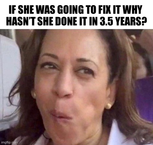 Kamala Harris | IF SHE WAS GOING TO FIX IT WHY 
HASN’T SHE DONE IT IN 3.5 YEARS? | image tagged in kamala harris | made w/ Imgflip meme maker