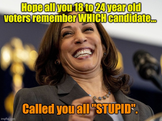 Hey, Kids!! This November... | Hope all you 18 to 24 year old voters remember WHICH candidate... Called you all "STUPID". | made w/ Imgflip meme maker