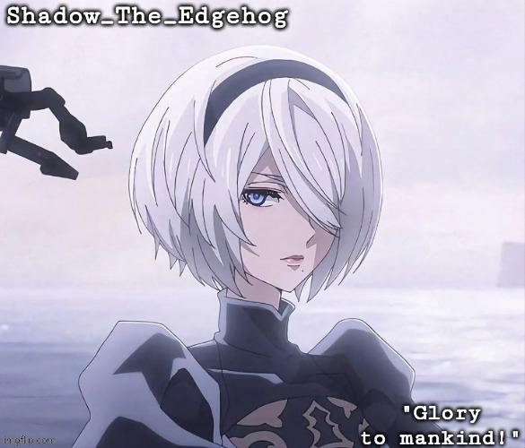 Shadow's 2B Template | image tagged in shadow's 2b template | made w/ Imgflip meme maker