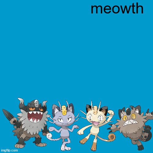 Blank Weezer blue album edit | meowth | image tagged in blank weezer blue album edit | made w/ Imgflip meme maker