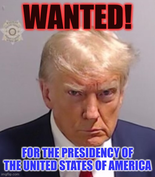 Donald Trump Mugshot | WANTED! FOR THE PRESIDENCY OF THE UNITED STATES OF AMERICA | image tagged in donald trump mugshot | made w/ Imgflip meme maker