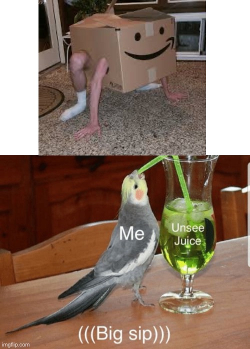 Thanks. I hate Amazon deliveries now | image tagged in unsee juice,cursed,amazon,box,memes,bird | made w/ Imgflip meme maker