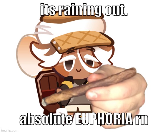 smore cookie with a blunt | its raining out. absolute EUPHORIA rn | image tagged in smore cookie with a blunt | made w/ Imgflip meme maker