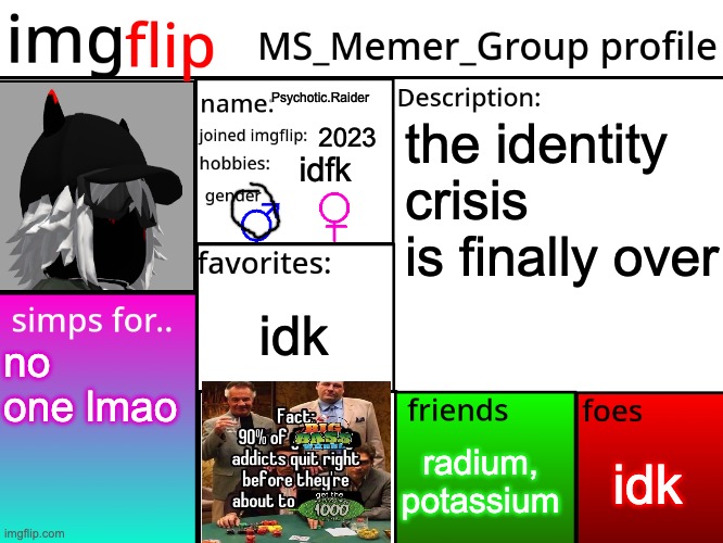 corny ahh shit | Psychotic.Raider; the identity crisis is finally over; 2023; idfk; idk; no one lmao; idk; radium, potassium | image tagged in msmg profile | made w/ Imgflip meme maker