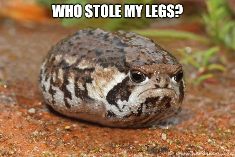 Who stole my legs? | WHO STOLE MY LEGS? | image tagged in angry toad with no legs,memes | made w/ Imgflip meme maker