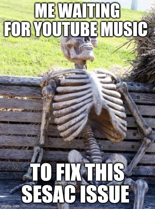 Waiting Skeleton Meme | ME WAITING FOR YOUTUBE MUSIC; TO FIX THIS SESAC ISSUE | image tagged in memes,waiting skeleton | made w/ Imgflip meme maker