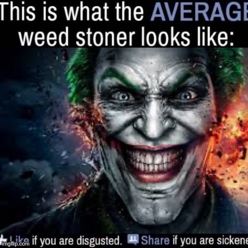 what the AVERAGE weed stoner looks like (add your own image) | image tagged in what the average weed stoner looks like add your own image | made w/ Imgflip meme maker