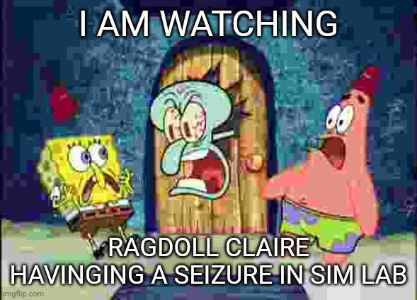 I AM WATCHING X | I AM WATCHING; RAGDOLL CLAIRE HAVINGING A SEIZURE IN SIM LAB | image tagged in i am watching x | made w/ Imgflip meme maker