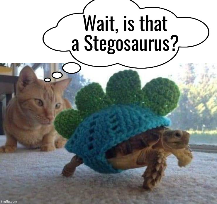 Cat thinks he went back in time | Wait, is that a Stegosaurus? | image tagged in dinosaur,cats,time travel | made w/ Imgflip meme maker