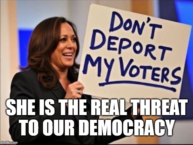 Deport her voters | SHE IS THE REAL THREAT
TO OUR DEMOCRACY | image tagged in deport her voters | made w/ Imgflip meme maker