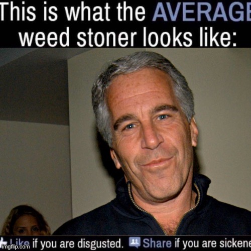 what the AVERAGE weed stoner looks like (add your own image) | image tagged in what the average weed stoner looks like add your own image | made w/ Imgflip meme maker
