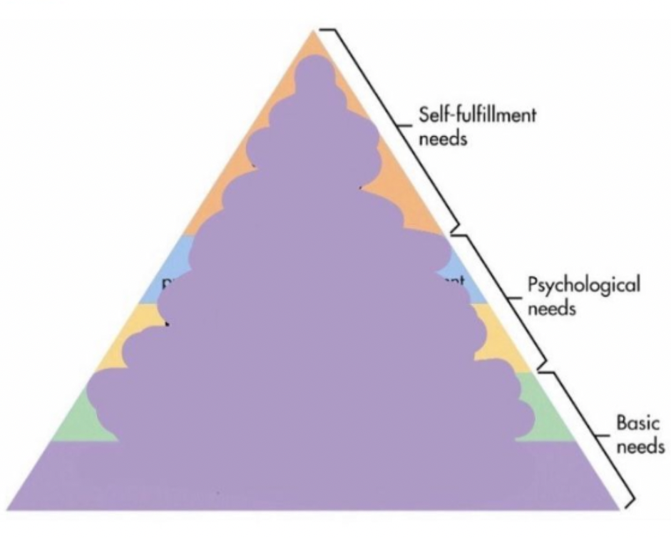 maslow's heirarchy of needs Blank Meme Template