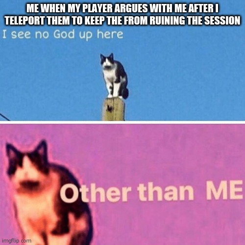 This happened | ME WHEN MY PLAYER ARGUES WITH ME AFTER I TELEPORT THEM TO KEEP THE FROM RUINING THE SESSION | image tagged in hail pole cat,dnd,annoying | made w/ Imgflip meme maker