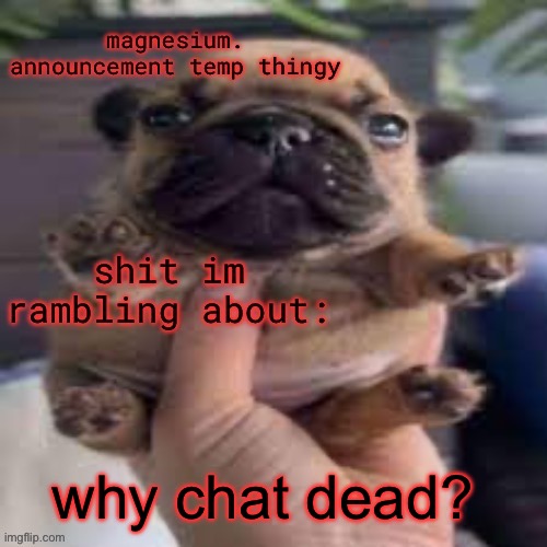 *farts, practically shitting myself* | why chat dead? | image tagged in pug temp | made w/ Imgflip meme maker