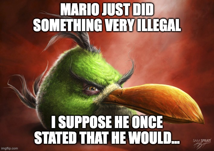 Realistic Angry Bird | MARIO JUST DID SOMETHING VERY ILLEGAL; I SUPPOSE HE ONCE STATED THAT HE WOULD... | image tagged in realistic angry bird | made w/ Imgflip meme maker