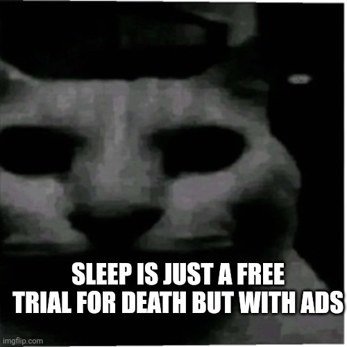 Sleep is temporary death | SLEEP IS JUST A FREE TRIAL FOR DEATH BUT WITH ADS | image tagged in uncanny cat,sleep,death,uncanny,stop reading the tags | made w/ Imgflip meme maker
