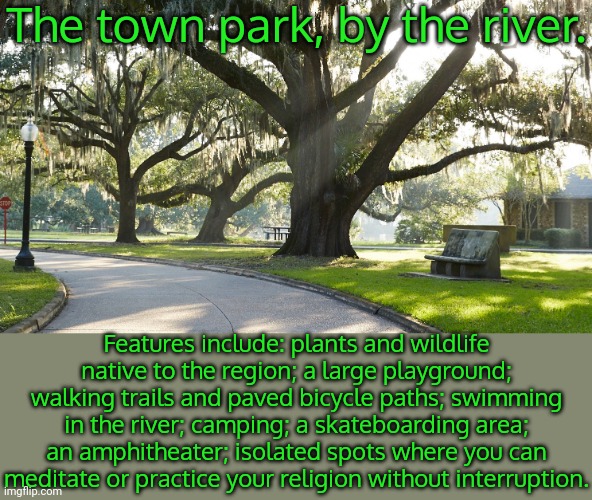 Rp location: the Park. (Feel free to add other features) | The town park, by the river. Features include: plants and wildlife native to the region; a large playground; walking trails and paved bicycle paths; swimming in the river; camping; a skateboarding area; an amphitheater; isolated spots where you can meditate or practice your religion without interruption. | image tagged in parks and recreation,public domain,outdoors | made w/ Imgflip meme maker