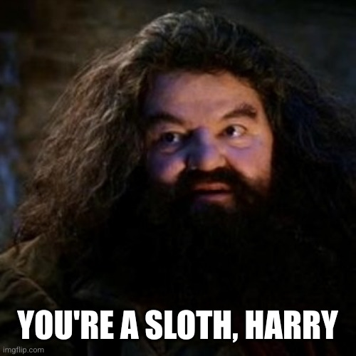 You're a wizard harry | YOU'RE A SLOTH, HARRY | image tagged in you're a wizard harry | made w/ Imgflip meme maker