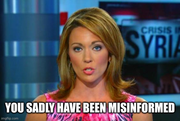 Misinformed Reporter | YOU SADLY HAVE BEEN MISINFORMED | image tagged in misinformed reporter | made w/ Imgflip meme maker